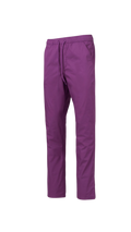 SUMMER VIOLET